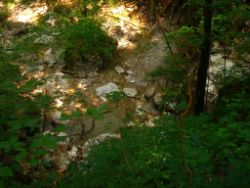 2013-07-20_Regina-F-Rau_Kochel-Rabenkopf (107).JPG